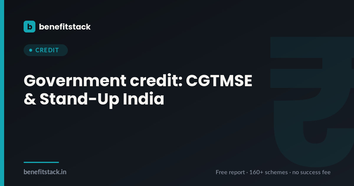 Hero image for: Government Credit for Founders: CGTMSE & Stand-Up India